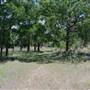 The Sandy Ranch