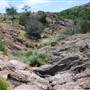 The Sandy Ranch