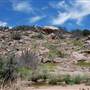 The Sandy Ranch