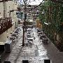 Cedar Street Courtyard