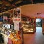 The Broken Spoke