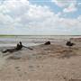 Muleshoe National Wildlife Refuge