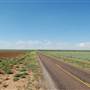 FM 3112 South of US 380