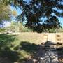 Big Stacy Park
