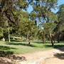 Big Stacy Park