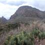 Big Bend National Park - Window Trail