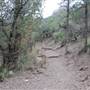 Big Bend National Park - Lost Mine Trail