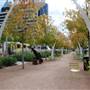 Klyde Warren Park