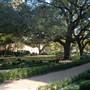 Baylor University
