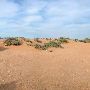 Red Sands