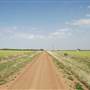 Wheat Field on SH114