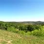 Wildcatter Ranch