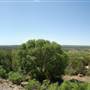 Wildcatter Ranch