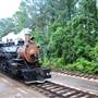 Texas State Railroad - 1901 Steam Train