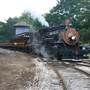 Texas State Railroad - 1901 Steam Train