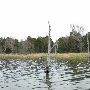 Lake Bastrop