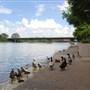 Waco Suspension Bridge and Waco Riverwalk