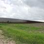 Loop Farms Inc
