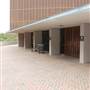 Trinity University