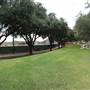 Trinity University