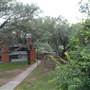 Trinity University