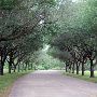 Brazosport College Complex - Corporate Learning Center