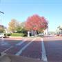 Nacogdoches
