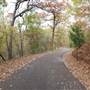 Davey Dogwood Park