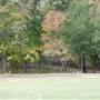 Davey Dogwood Park