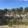Old Ponderosa Ranch