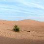 Red Sands