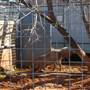 Animal World and Snake Farm