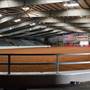 Young County Arena