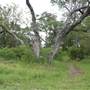 Cedar Hill State Park