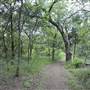 Cedar Hill State Park
