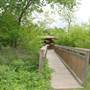 Cedar Hill State Park