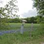 Cedar Hill State Park - Penn Farm