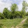 Cedar Hill State Park - Talala Trail