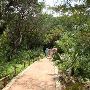 Zilker Botanical Gardens