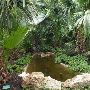 Zilker Botanical Gardens