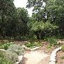 Zilker Botanical Gardens