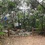 Austin Nature and Science Center