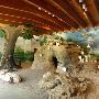 Austin Nature and Science Center