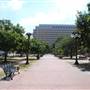 Milam Park