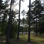 Faulkner Park