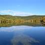 Madrone Ranch