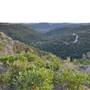 Madrone Ranch