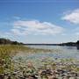 Lake Athens
