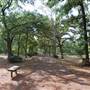 Quitman Arboretum