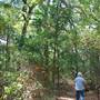 Quitman Arboretum